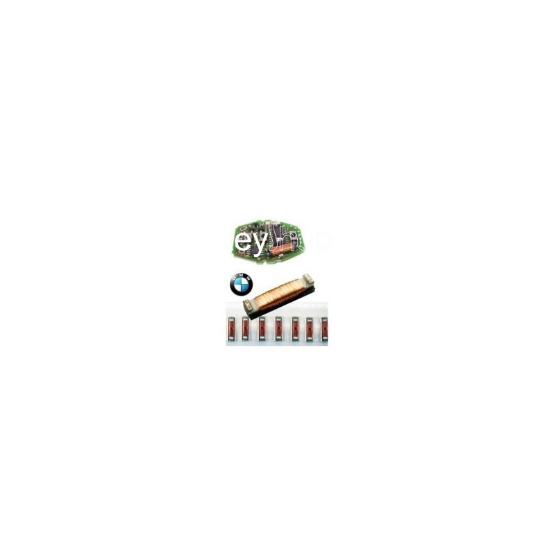 Bobine para Transponder BMW